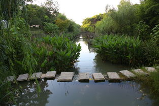 白象灣生態(tài)園景點電子門票 當(dāng)日可訂