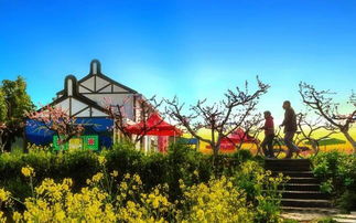 2019上海金山田野百花節(jié)最全攻略