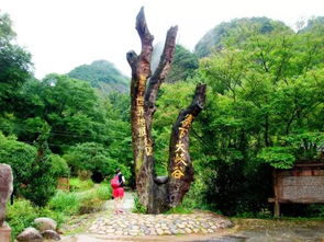 16周歲以下免票游世遺，668元泰寧雙動(dòng)車2日游 大金湖、寨下大峽谷、九龍?zhí)?、尚書第全覽