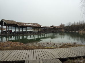 冬韻別致 探訪渤公島生態(tài)園與九龍?zhí)渡鷳B(tài)園的靜謐之美