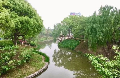 常熟奉賢手牽手，九龍?zhí)渡鷳B(tài)園繪就跨區(qū)域文旅新篇章