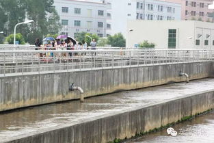 2016市民環(huán)保開放日 走進(jìn)污水處理廠與濕地，共筑綠色東部生態(tài)園——九龍?zhí)渡鷳B(tài)園活動(dòng)回顧