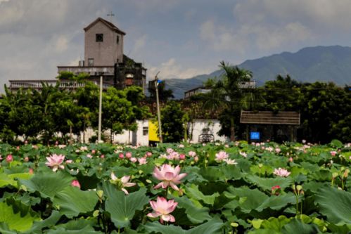 快看！博羅九龍?zhí)渡鷳B(tài)園入選惠州市第二批鄉(xiāng)村旅游精品線路
