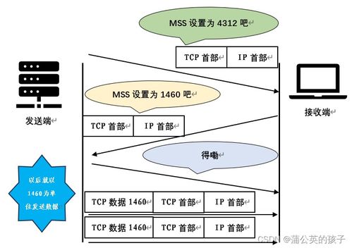 計算機網絡技術服務 支撐數(shù)字時代的無形支柱